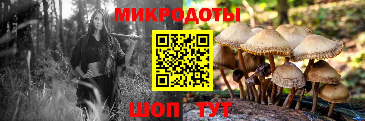 Галлюциногенные грибы мухоморы  Вход с VPN  Хабаровск 
